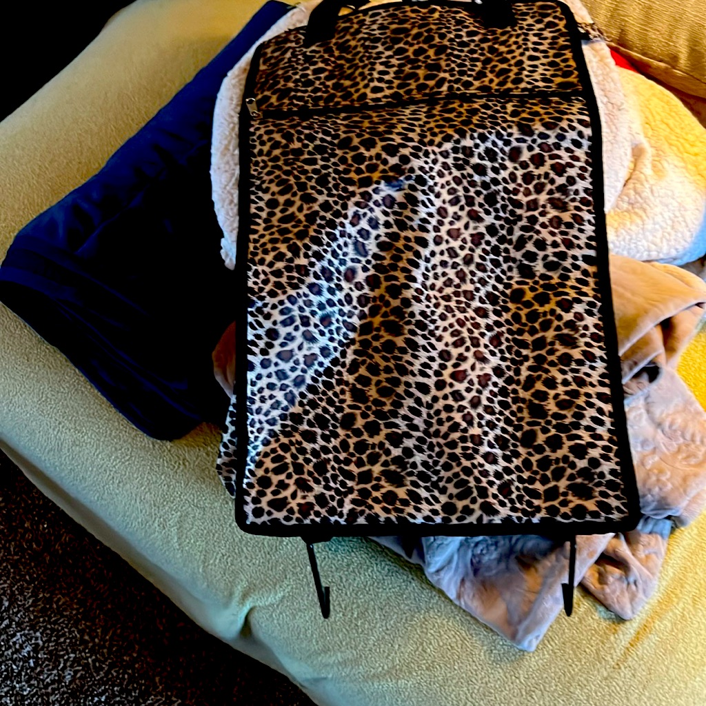 Shopping Bag